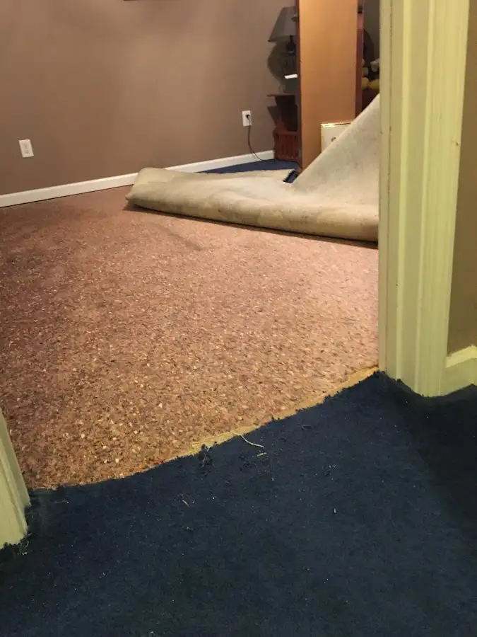 Carpet pad removal revealing water damage during Drying & Dehumidification in Muncie
