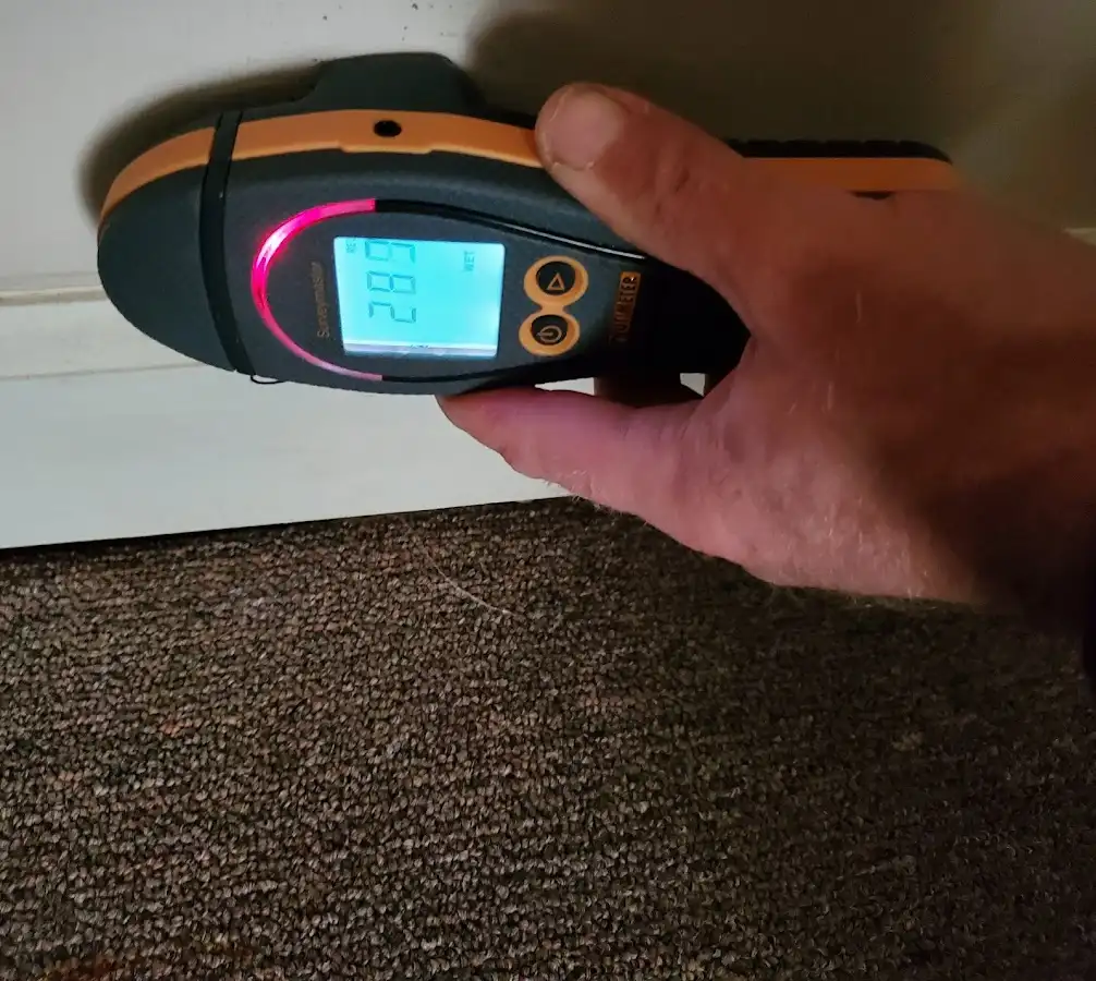 Moisture detection at baseboard during Sewage Cleanup & Sanitation in Muncie